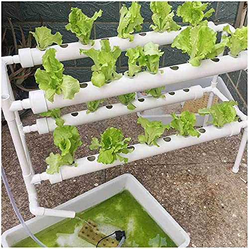 Pflanz Hydroponic Grow Hydrokultur Vegetable System Kit Hydroponische Systeme Set Plant Pflanzen BewäSserung Garten Tool Growing Hydroponics Hydroponisches Anzuchtsystem 36 Pflanze Sites 2Schichten
