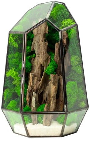 WabiFlur Terrario Stabilizzato Fløya in Vetro completo, Design Nordico con Legno, Muschi e Licheni Stabilizzati Arredo Naturale Elegante Senza Manutenzione per Casa, Ufficio e Idee Regalo Green