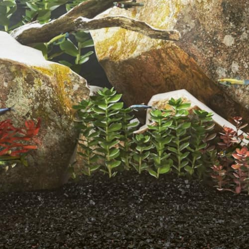 Genérico Arena para Acuario Negra 10 kg 0,2-2 mm,Producto para Mascotas y Animales,Productos para Mascotas,Productos para Peces,Sustratos y Arena para acuarios-155293