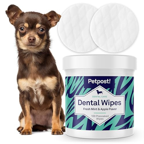 Petpost | Dental Wipes for Dogs - Bad Breath and Tooth Buildup Gone - Presoaked Pads in Natural Tooth Cleaning Solution 100 ct