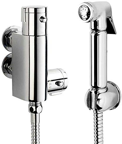 Douchette de Lavabo pour Bidet, Robinetterie WC, Embout de Pulvérisation Avec Tuyau pour Serviette de Bébé, Linge Féminin