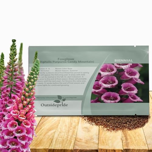 Outsidepride Digitalis Purpurea Candy Mountain Foxglove Seeds – 50 Pcs Biennial, Prolific, Tall Growing Flower Seeds with Pollinator-Friendly Blooms for Shaded Gardens & Outdoor Landscapes