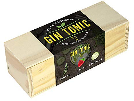 Resetea, Kit de plantation, Gin Tonic, Romarin, fraise et concombre 1 Jaune