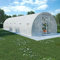 Gewächshaus Folientunnel für Aufzucht Tomaten, Tomatenhaus mit Tür & Fenstern, Stahlrahmen, Foliengewächshaus Frühbeet, 27m² 900x300x200 cm