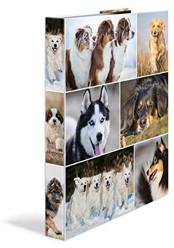 HERMA Ringbücher A4 Hunde Set, 3 Stück, schmal, 4 Ringe, 35 mm breit, Kinder Ringordner mit Tier Motiv, bunter Ordner mit Innendruck für Jungen und Mädchen