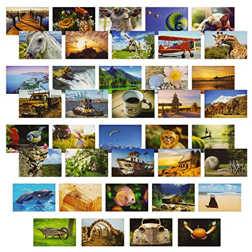 BEST PAPER GREETINGS 4x6 Blank Postcard Set - Photo Postcards for Mailing - Pack of 40, 250gsm, Multi, Wild Animals