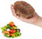 YUXIANLB Cepillo para verduras y patatas, 1 unidad, cepillo de fibra de coco natural, cepillo de limpieza de frutas, cepillo de productos para necesidades de limpieza de cocina y uso doméstico con