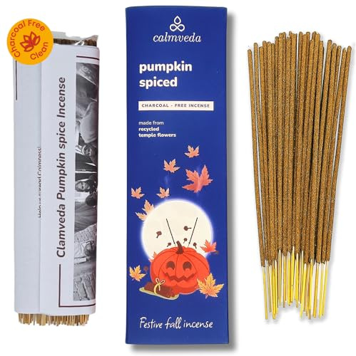 Pumpkin Spice bastoncini incenso profumati - (80 bastoncino) incenso natalizio | senza carbone, realizzati con fiori riciclati | incenso bastoncini naturali dall'aroma fruttato e speziato
