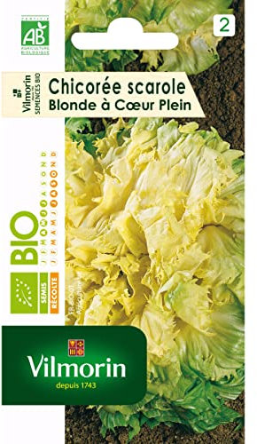 Vilmorin - Sachet graines de Chicorée Scarole Blonde à coeur plein BIO