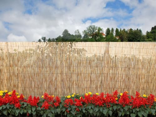 Home Tresor - Frangivista per Recinzione Bamboo, Arella in bambù, Stecche Staccionata Canne Ombreggianti per Balcone Giardino da Esterno 1x3 mt