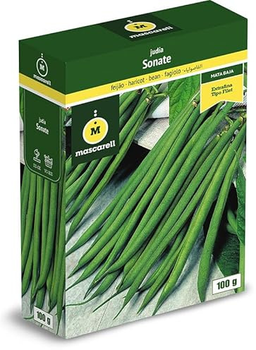 Mascarell Semillas, JUDÍA SONATE, Semillas Leguminosas, Fácil de Cultivar en Casa, 100 G.