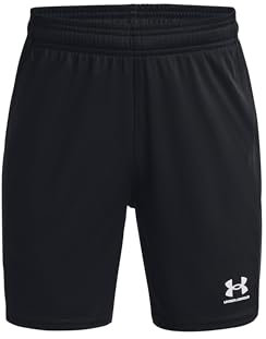 Under Armour Jungen UA B's Ch. Knit Short Pants