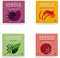 Sugar-Free, Low Calorie Water Enhancer – Hydrate, Support Immunity, Heart, Brain & Bones, Boost Metabolism & Energy with Ginseng & Ginkgo, 4 Flavours – Raspberry, Cherry, Lime, Pineapple, 48 Sachets