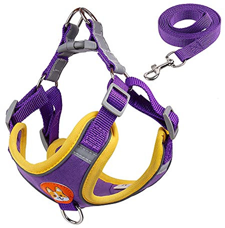 Piang Gouer Hundegeschirr kleines Hundegeschirr und Leinenset, Reflektierendes verstellbares Welpengeschirr für Spaziergänge im Freien kleine mittelgroße Hundehalsbänder Geschirre Leinen(lila/M)