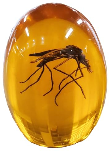 VEOJEIN Jurassic Mosquito in Amber | Durable Resin Encased Detailed 2D Insect. Perfect for Collectors and Enthusiasts | Paperweight, Aged Effect, Desk Ornament