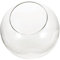 MILISTEN Glas Terrarium Für Moos Kreative Desktop Mikrolandschaft Flasche DIY Leere Vase Für Zuhause Elegante Deko Für Garten Und Events Einfach Zu Reinigen