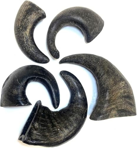 Maltbys' Stores 30x Small Buffalo Horns 100% Natural Dog Treats Chews