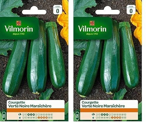 Vilmorin 3484440 Courgette Verte noire maraîchère (Lot de 2)