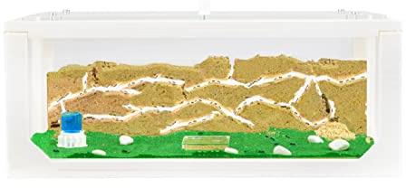 AntHouse - Fattoria di formiche di sabbia naturale | Starter Set 3D Bianco Grande 30x15x10 cm | Compreso il formicaio
