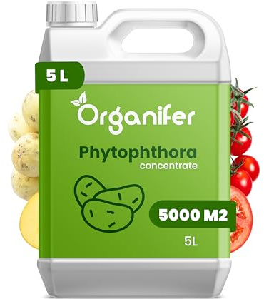 Phytophthora Concentrato - 5 L Per 5000 M2 - Preparato Per Patate E Pomodori - Cura Delle Piante - Fertilizzante - Fertilizzante Per Il Giardino - Organifer