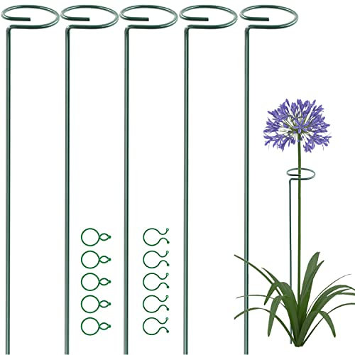 OMATSBEH 5 Pack 75 cm 29.5 inch Plant Support Stakes, Garden Single Stem Support Stake Amaryllis Plant Support Rings with 10 pcs Plant Clips for Tomatoes Orchid Lily Peony Flower Stem (75 CM)