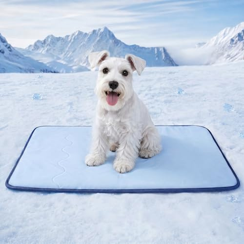 Deconovo Tappetino Rinfrescante per Cani e Gatti 50x65 cm, Tappeto Fresco Double Face con Tessuto Cooling e Morbida Spugna, Trapuntato e Lavabile, Materassino Estivo per Cuccia, Divano e Auto, Blu