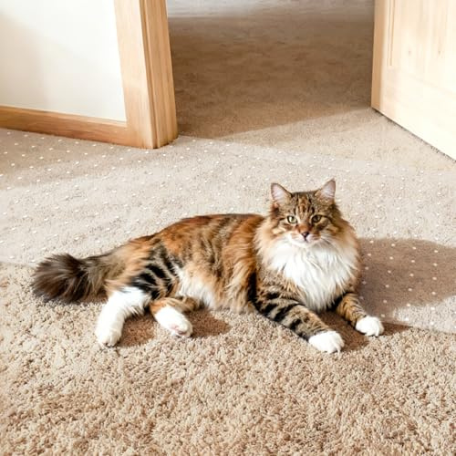 Pet Carpet Protector, 38 x 110 cm Cat Scratch Guard for Under Doors, Anti-Scratch PVC Sheet, Floor and Carpet Edge Guard for Cats and Dogs, Easy to Cut and Fit, 2 Pieces