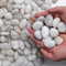 Hisredsun Pierres décoratives blanches de 1,8 kg, galets polis naturels pour pots de fleurs, roches de rivière pour l'aménagement paysager, remplissage de vases, plantes grasses, décoration d'aquarium