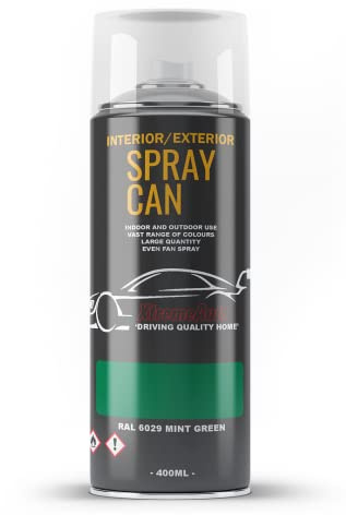Xtremeauto Spray Paint Finish For Indoor And Outdoor Use Garden Cars Home Kitchen Bathroom Furniture Art Craft Bikes Radiators Metal Wood Plastic Glass UPVC Stone PVC RAL 6029 Mint green