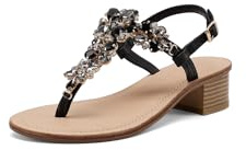 QUEEN HELENA Sandali Gioiello Infradito con Tacco Basso con Strass Eleganti Donna Y6024 (Y7004 Nero, Sistema Taglie Calzature EU, Adulto, Donna, Numero, Media, 38)