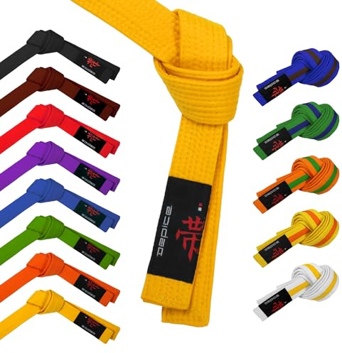 DEPICE Unisex – vuxen kampsportbälte bälte, orange, 220 cm