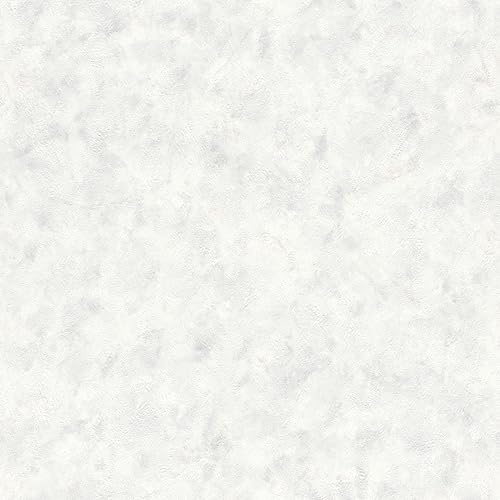 Rasch Carta da parati 218022 – Carta da parati con effetto intonaco e struttura in intonaco, colore grigio chiaro, 10,05 m x 0,53 m (lunghezza x larghezza)