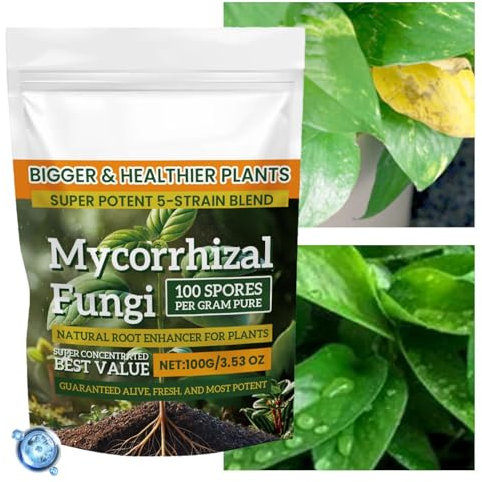 Polvere di nutrienti vegetali, promuovere la crescita delle piante | 100 g di fertilizzante per la crescita delle piante – Dispositivo per piante con formula equilibrata per , coltura mista