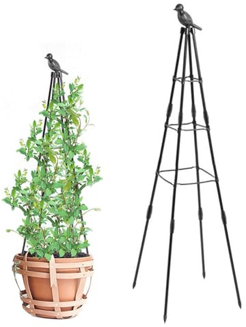 Enrejado para Plantas trepadoras al Aire Libre, Enrejado de jardín Ajustable de 63 Pulgadas de Altura, de obelisco Inoxidable, Planta extraíble Interior para Flores Vegetales, decoración del