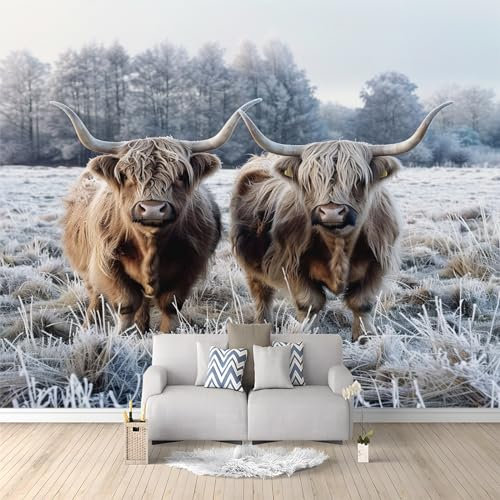 Fototapete Tierische Kuh Hochlandvieh Wohnzimmer Schlafzimmer Wandtapete Vlies Tapete Kinderzimmer Jugendzimmer Druck UV-Beständig Geruchsfrei Hohe Auflösung Montagefertig