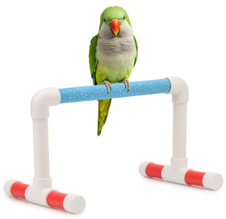 Hypeety Small Bird Parrot Stand Perch Table Top Stand Playground Grind Perch Swing Training Playstand Exercise Chew Toys for Budgies Parakeet Cockatiel Conure Finch (Perch, L)