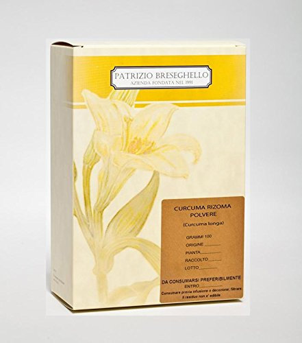 Curcuma radice polvere 100 g