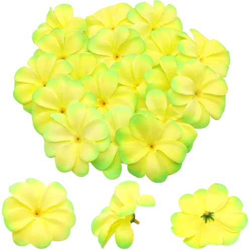 FZBNSRKO 100 Pcs 2.8 Hawaiian Plumeria Frangipani Flower Heads Artificial Flower Heads for Wedding Flowers Garland DIY Jewelry Hair Clips Headbands Accessories(Light Green)