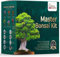 Meister-Bonsai-Set – Grow Buddha Bonsai-Baum-Anbauset– japanischer Bonsai – werden Sie Bonsai-Meister – ideales Bonsai-Baum-Samen-Set für die Gartenarbeit im Innenbereich