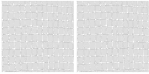 TRIXIE 44313 Schutznetz, 3 × 2 m, transparent (Packung mit 2)