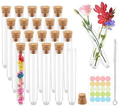 20 Stücke Transparente Reagenzgläser mit Korken, Mini 10ml Blumen Kleine Reagenzglas, Kunststoff Reagenzgläser Glasröhrchen Set mit Reinigungsbürste und Anhänger Benutzt für Blumen,Gewürze, Kräuter