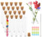 20 Stücke Transparente Reagenzgläser mit Korken, Mini 10ml Blumen Kleine Reagenzglas, Kunststoff Reagenzgläser Glasröhrchen Set mit Reinigungsbürste und Anhänger Benutzt für Blumen,Gewürze, Kräuter