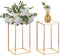 NUPTIO 2 Pcs Metal Flower Floor Vase Column Flower Stand Geometric Centerpieces Vase for Tables, 40cm Tall Gold Flower Holder for Home Party Wedding Decorations, Rectangular Flower Display Rack