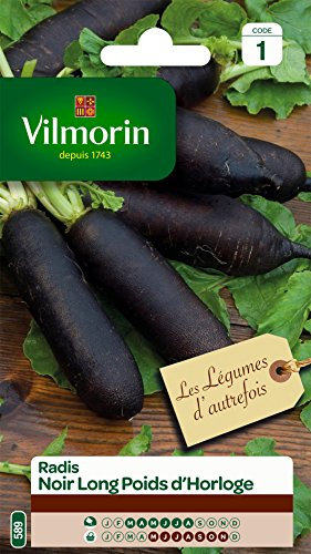 Vilmorin 3885441 Radis, Noir, 90 x 2 x 140 cm