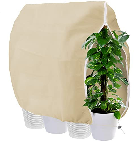 HoloHolo Winterschutz für Pflanzen, Atmungsaktiv 85 g/m² Winterschutz Kübelpflanzensack Frostschutz Pflanzenabdeckungen mit Reißverschluss und Zugband für Baum Palmen Überwinterung Beige