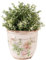 Ceramic Plant Pots Indoor Plant Pot with Distressed Effect Floral Rose Print Finish Antique Style Jardinière Planter Flowerpot Living Room Kitchen Windowsill Bathroom Cachepot