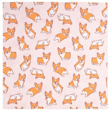 Lens-Aid Chiffon de Nettoyage en Microfibre au Design élégant : pour Appareil Photo, Objectif, écran et comme Chiffon de Nettoyage pour Lunettes (Chiffon en Microfibre 20 x 20 cm)