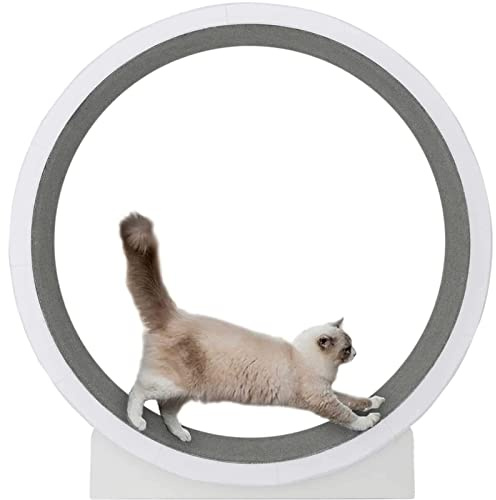 Löpband för katter, Löpband for katter Tyst och ljudlös kattleksak Enkel hållbar
