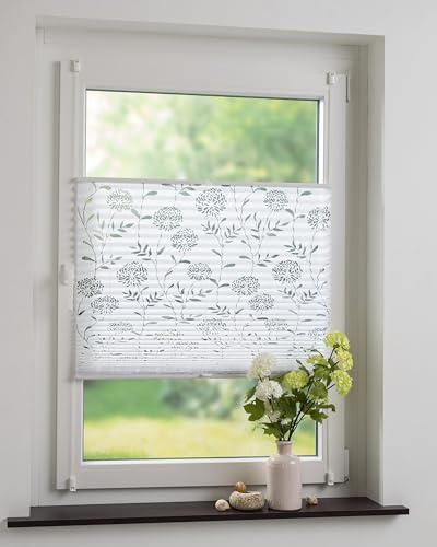 DECOLIA by Garesa Fenster Klemmfix Plissee ohne Bohren 70 x 130 cm Burnout Blume, Weiß - Lichtdurchlässiger Fenster Sichtschutz und Fenster Deko, Faltrollo