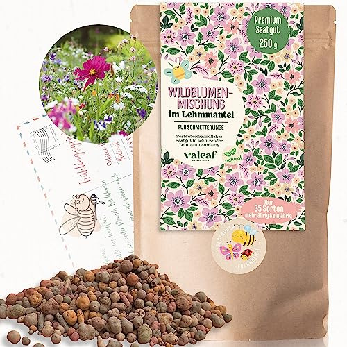 Wildblumensamen im Lehmmantel 250 g - Schmetterlingswiese Samen mit Vogelschutz - Insektenfreundliche Wildblumenmischung für bunte Blütenpracht